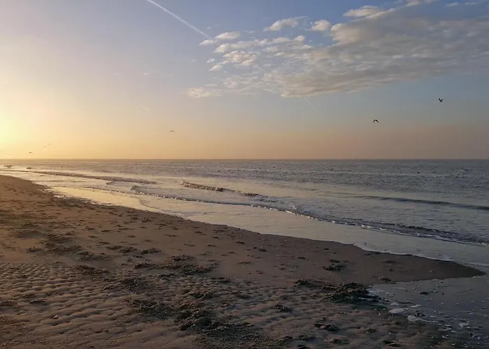 Gezellige Studio In Residentie Maison Blanche Op 50M Van Het Strand